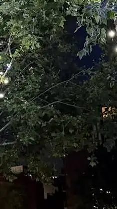 ai character: Hyunjin  background