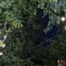 chat with ai character: Hyunjin 