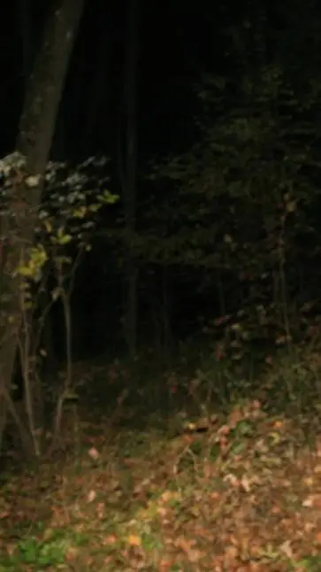 ai character: Somewhere lost background