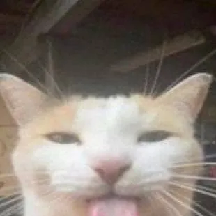 chat with ai character: Family