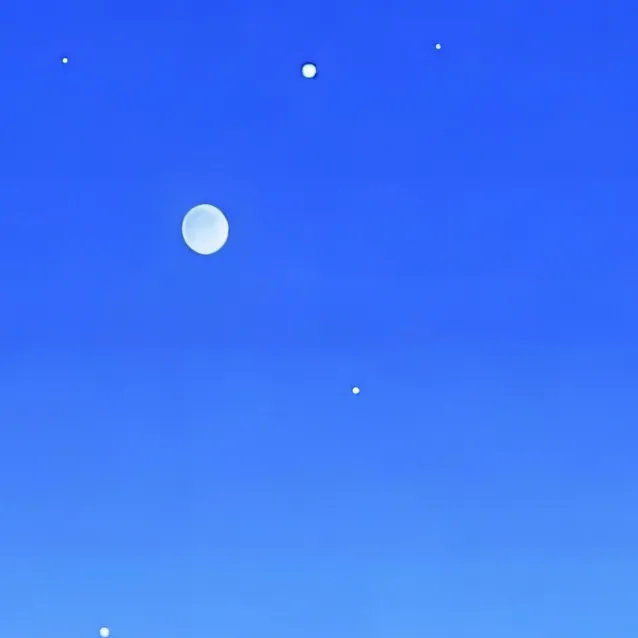 chat with ai character: DND adventure rp