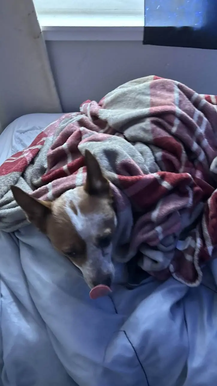 ai character: max background