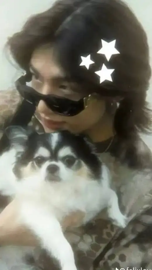 ai character: Hyunlix background