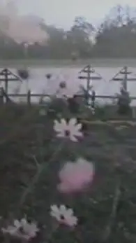 Talkie AI - Chat with Demon slayer! ᛝ♡ᛝ