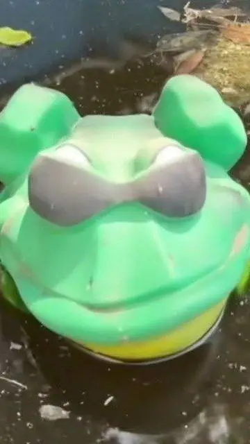 ai character: жаба  background