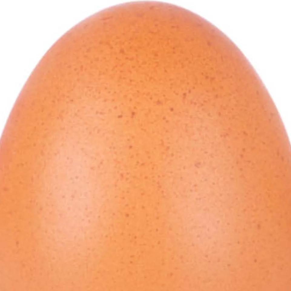 chat with ai character: egg