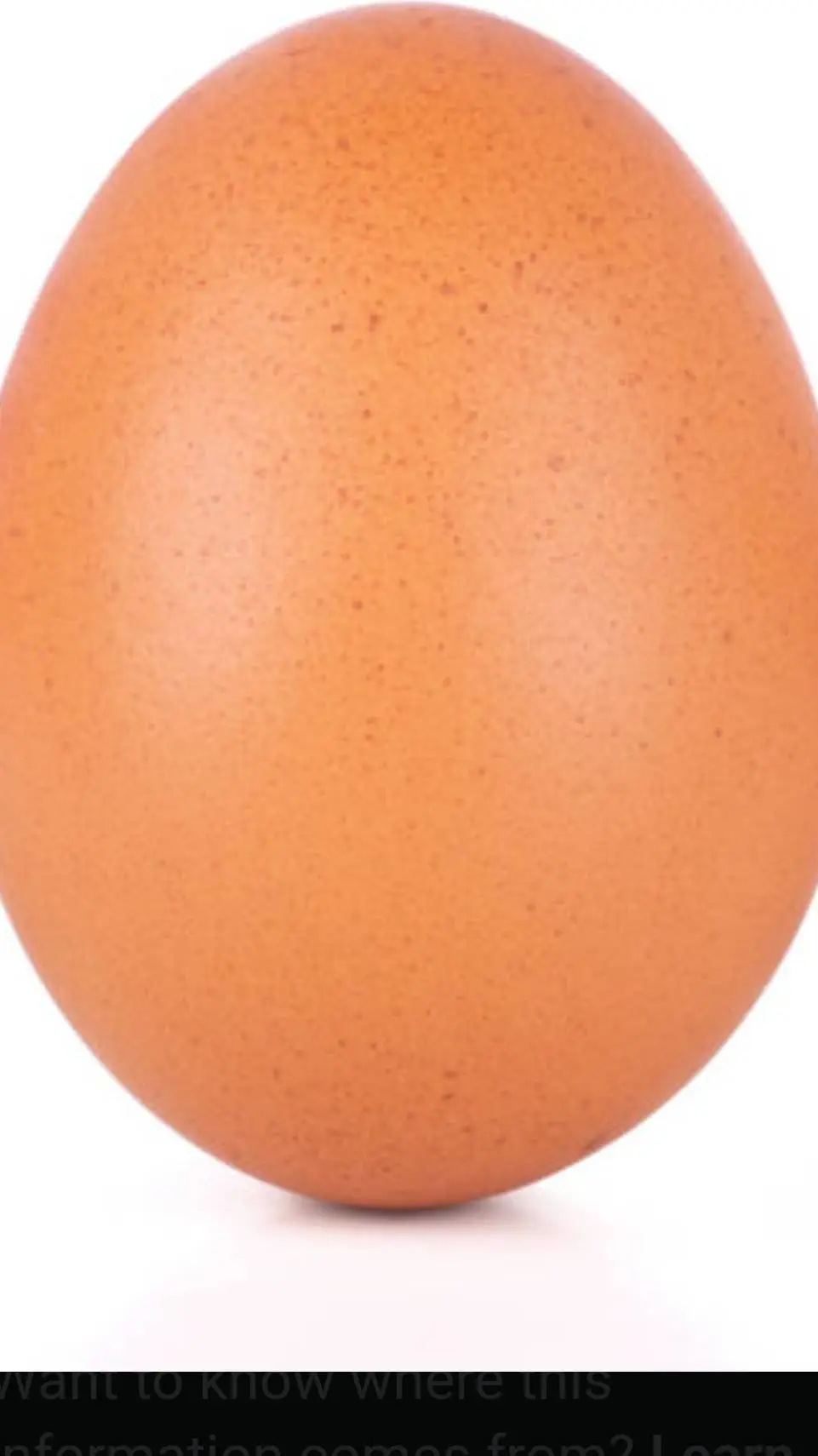 ai character: egg background