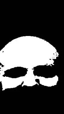 ai character: black  background
