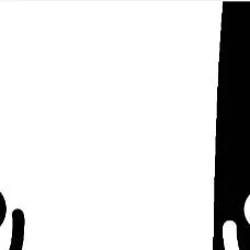 chat with ai character: black and white