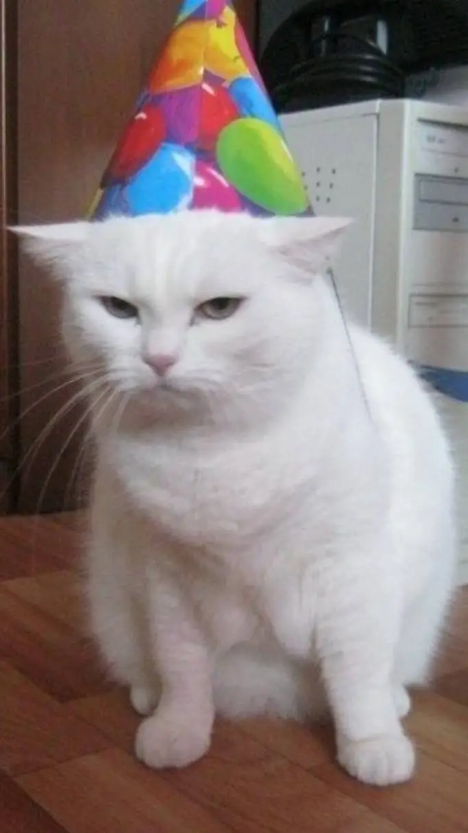 ai character: THX FOR 208 FOLLS! background