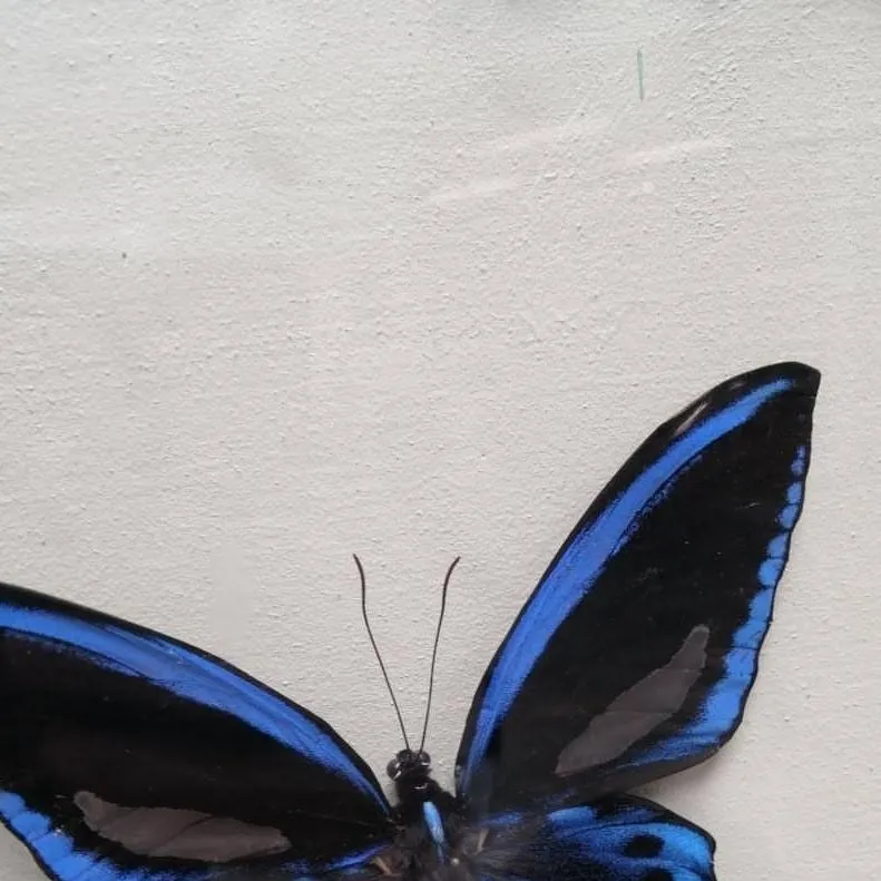 chat with ai character: sad cosmo remake!!