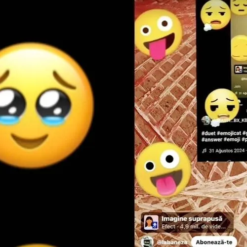 chat with ai character: meme