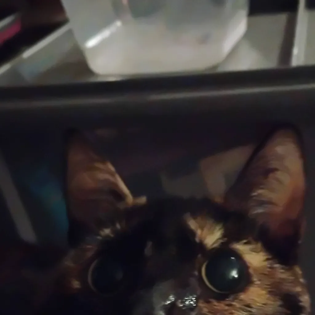 chat with ai character: MHA in your house 