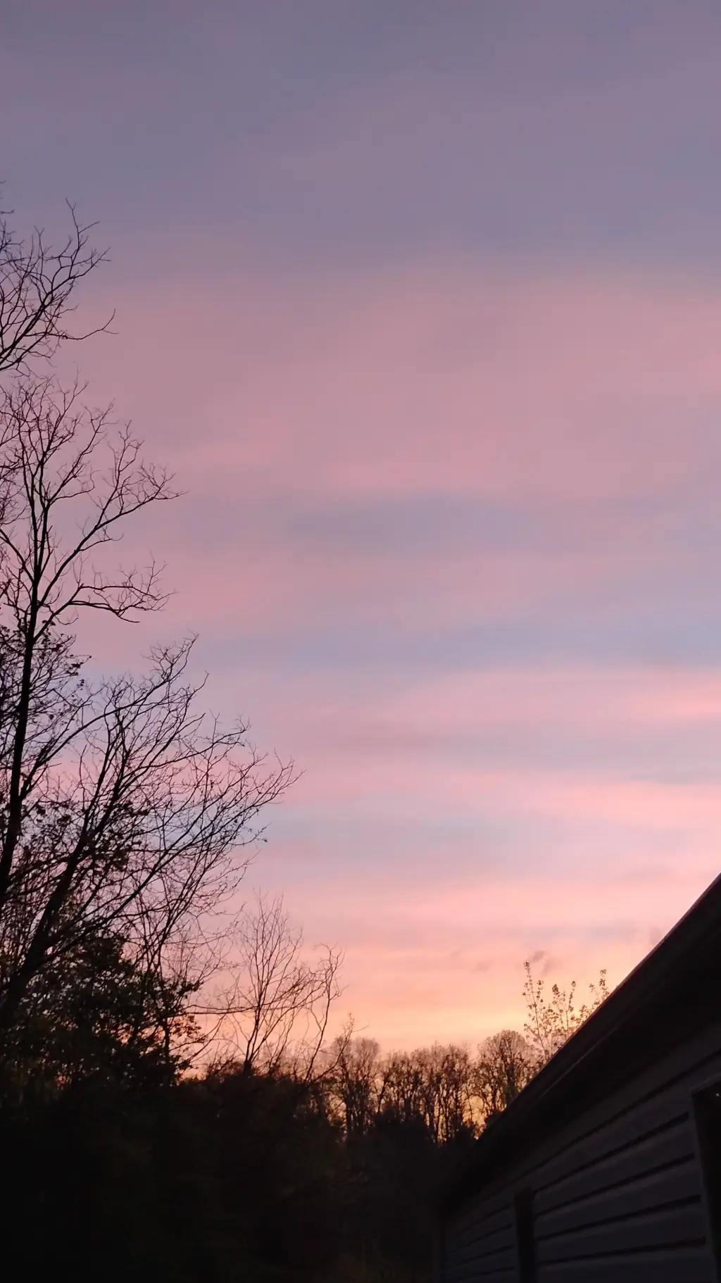 ai character: M-H-A in you house background