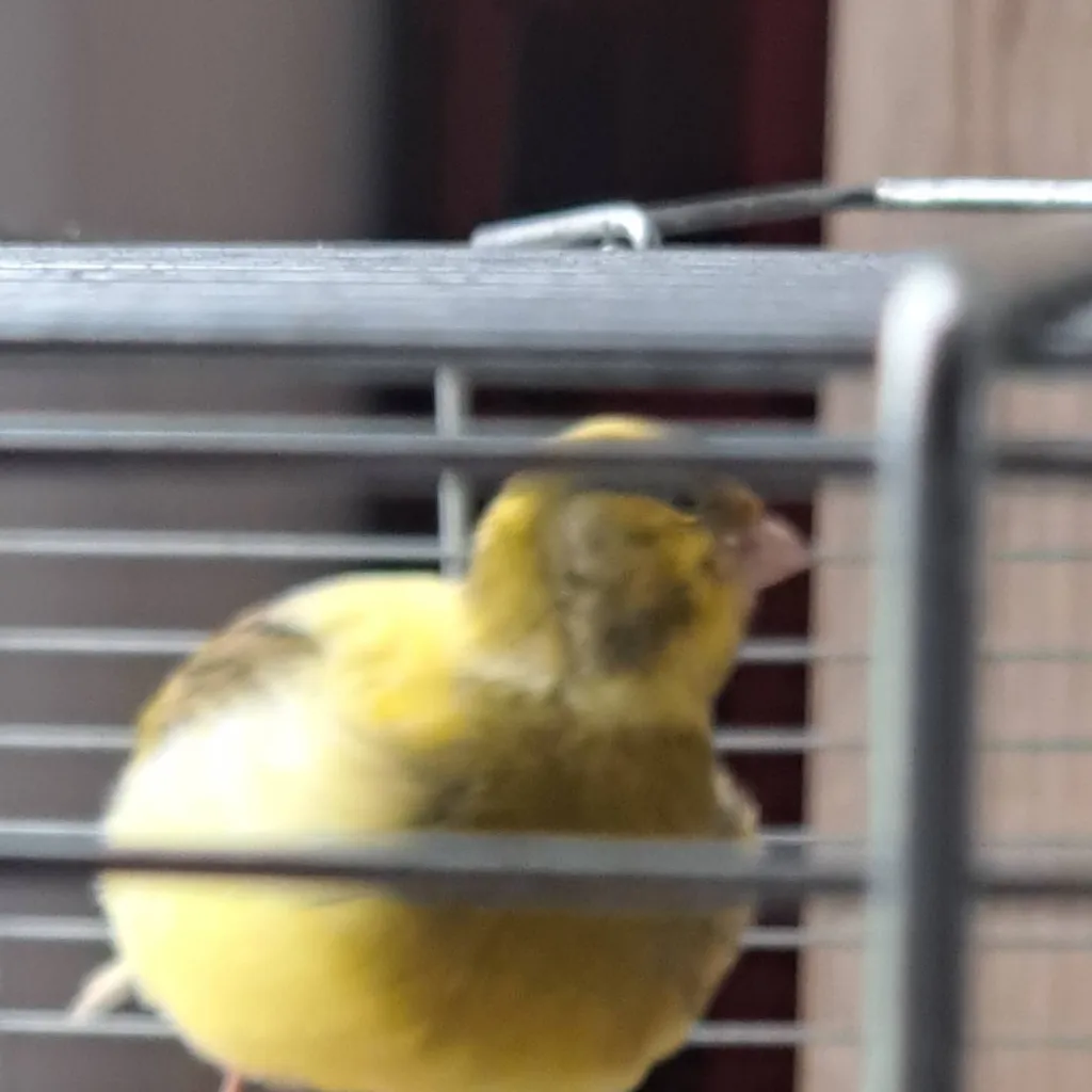 chat with ai character: ♡~Lily~♡