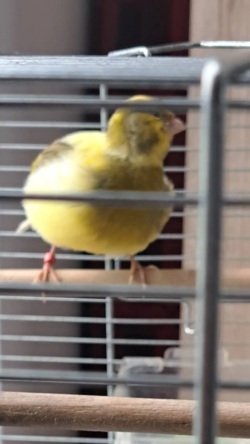 ai character: ♡~Lily~♡ background