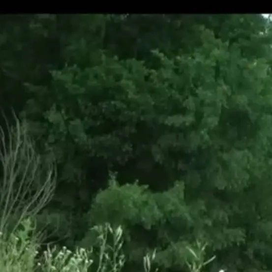 chat with ai character: ♡~Lily~♡