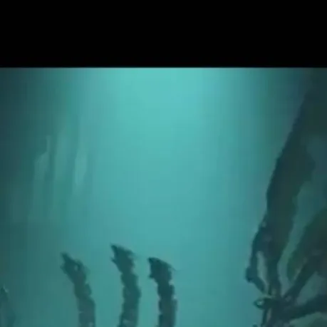 chat with ai character: Mecha ghidorah