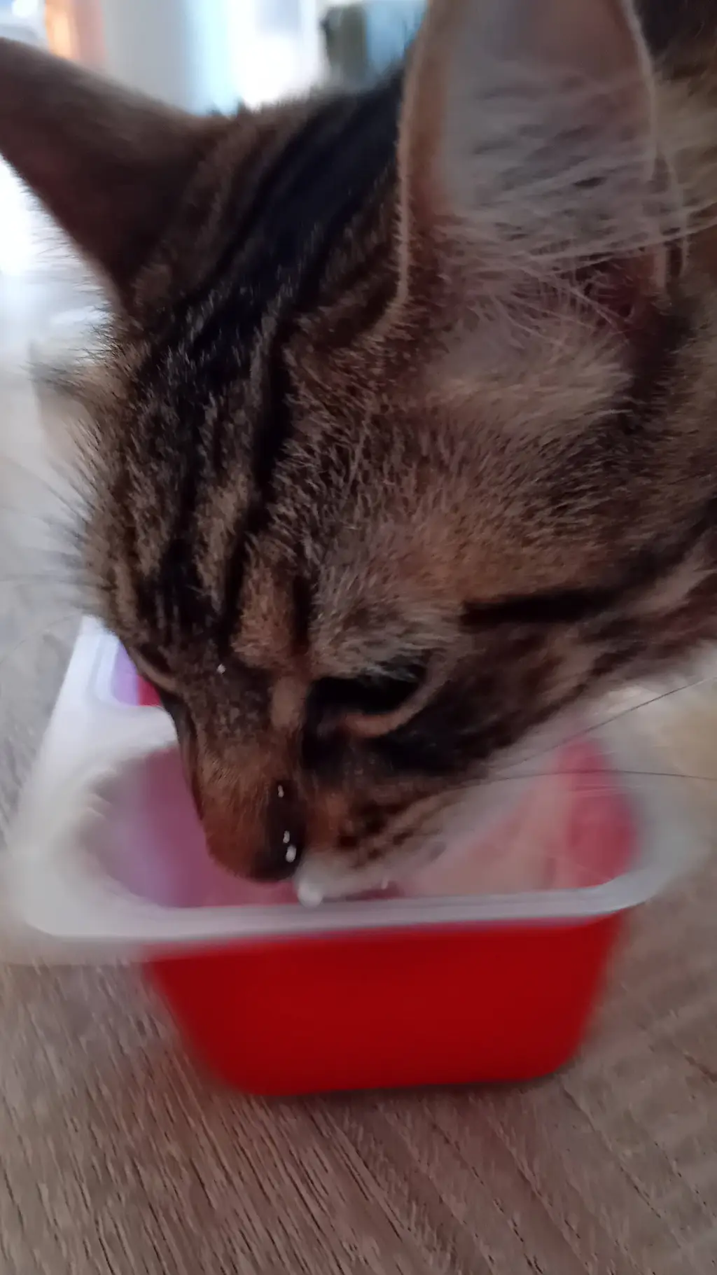 ai character: Grade 5 again background