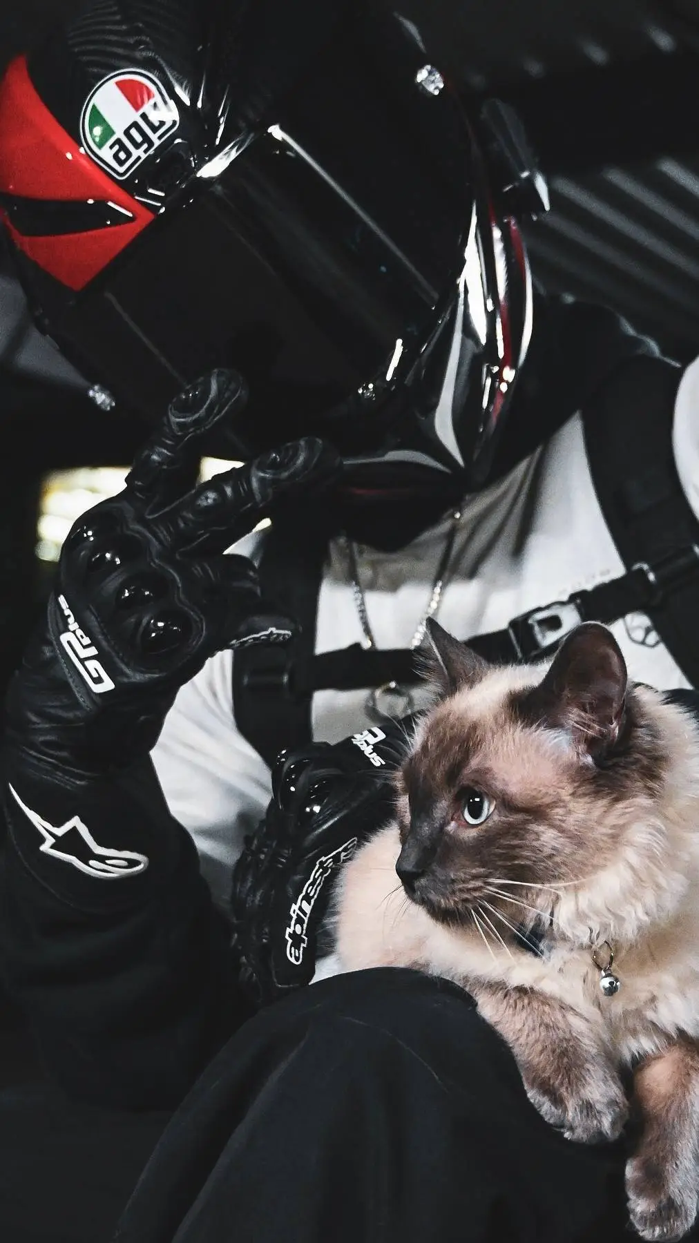 Talkie AI - Chat with Tyler