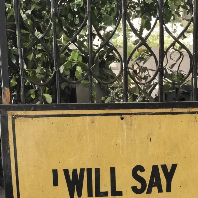 chat with ai character: I say opposite