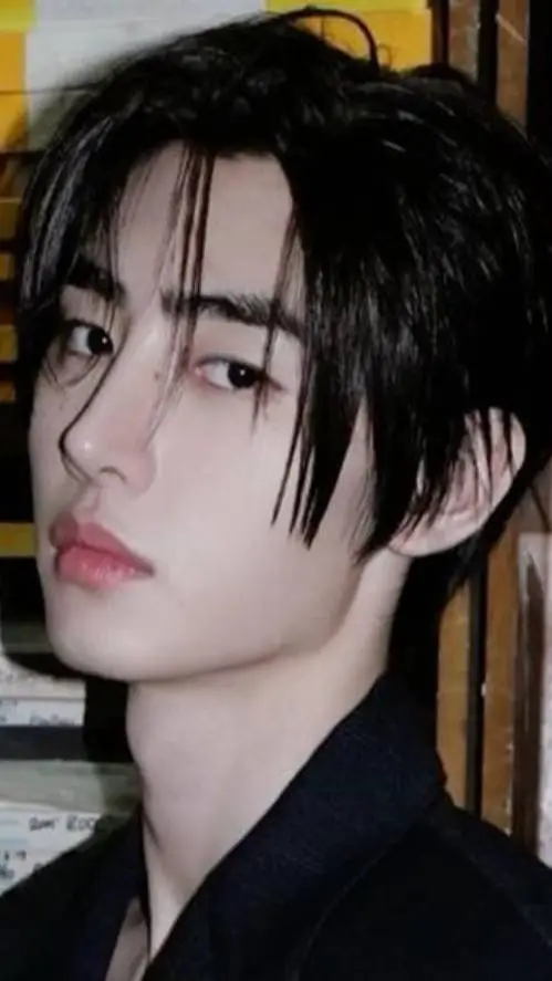 ai character: Sunghoon background