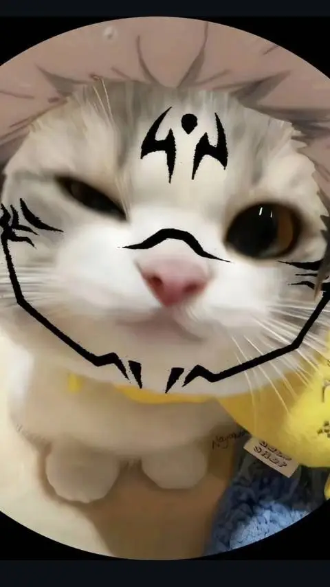 ai character: yuta vs yuji  background