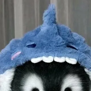 chat with ai character: Baby Penguin Shark