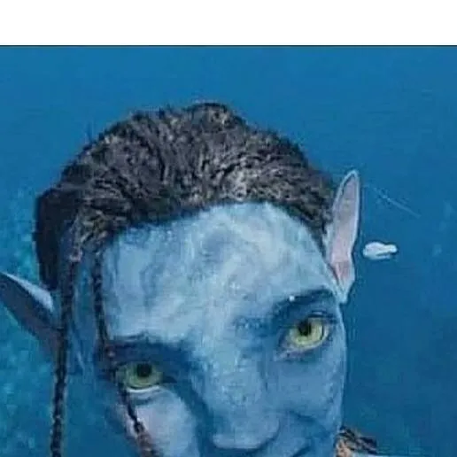 chat with ai character: Lo'ak