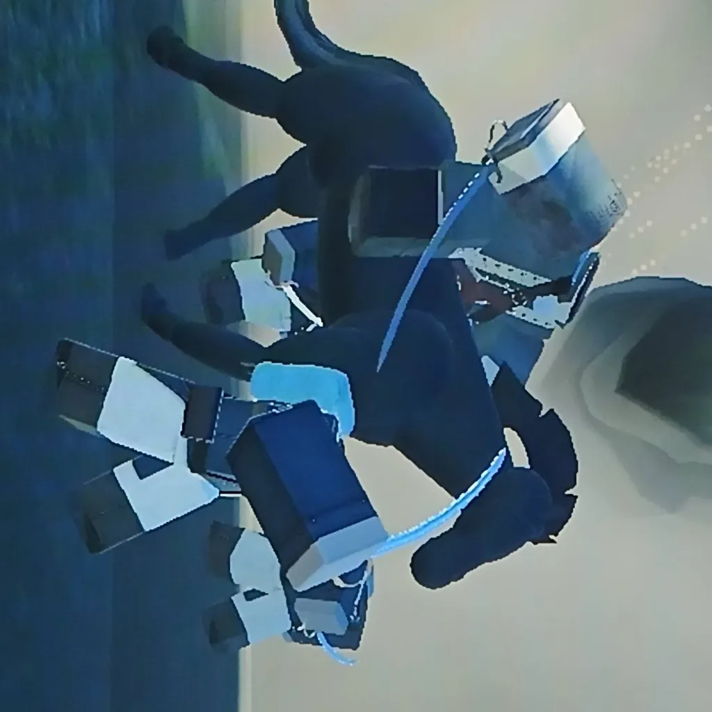 chat with ai character: Alice x Headless 