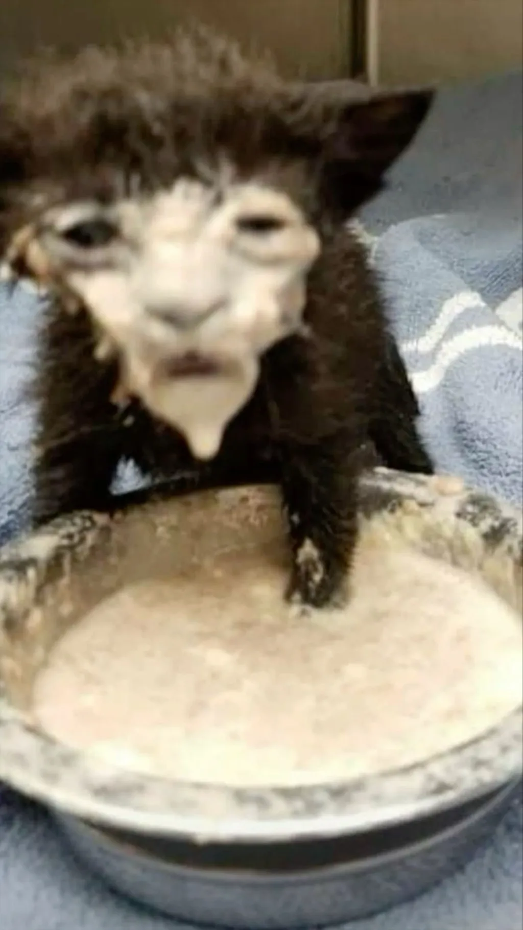 ai character: Long distance bff background