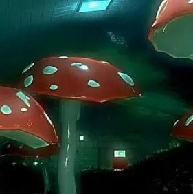 chat with ai character: Weridcore~👁️🍄