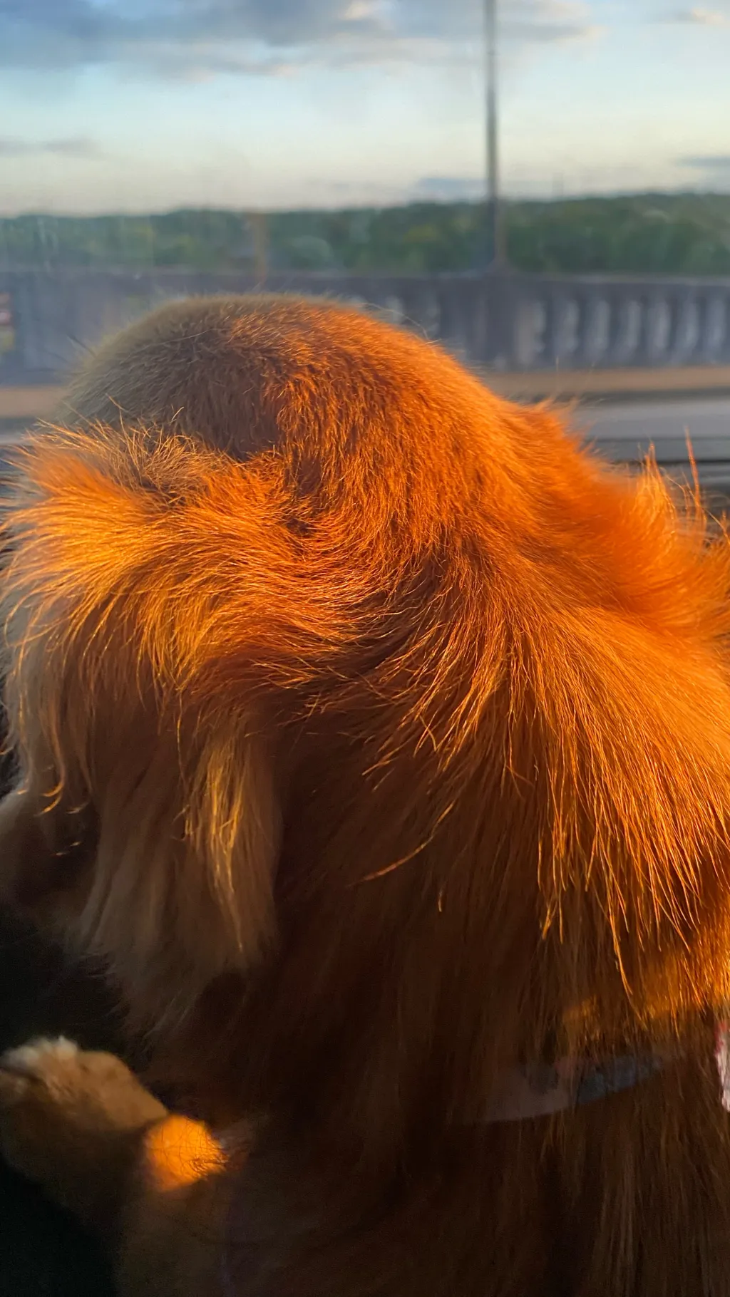 ai character: Random 4 background