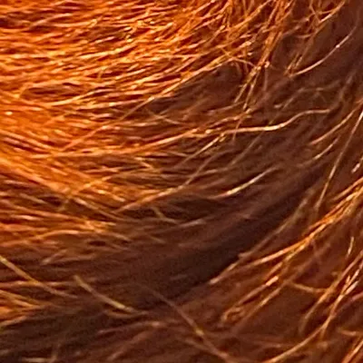 chat with ai character: Random 4