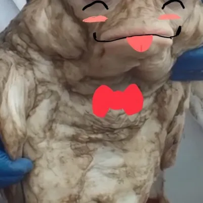 chat with ai character: Fishy Goober!