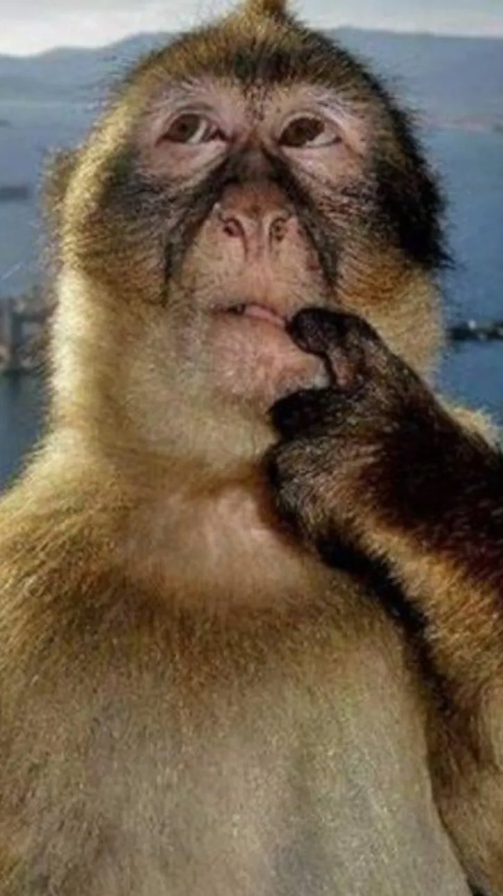 ai character: ~°COD WANTED°~ background