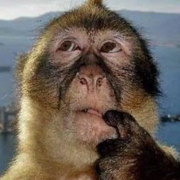 chat with ai character: ~°COD WANTED°~