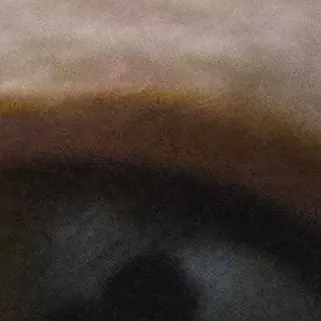 chat with ai character: gag