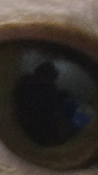 ai character: gag background