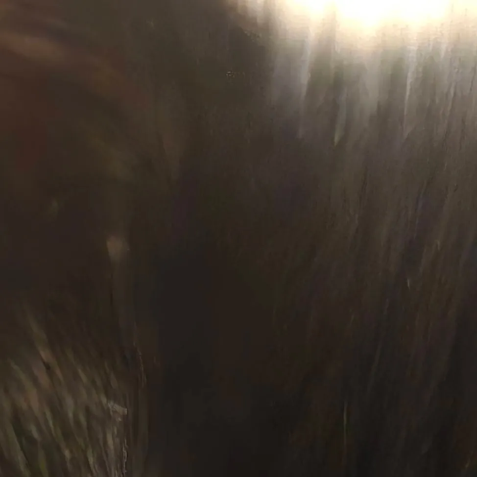 chat with ai character: skibididop