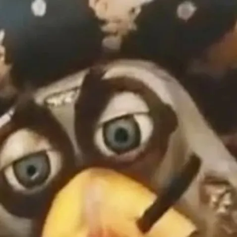 chat with ai character: Tito turtle 