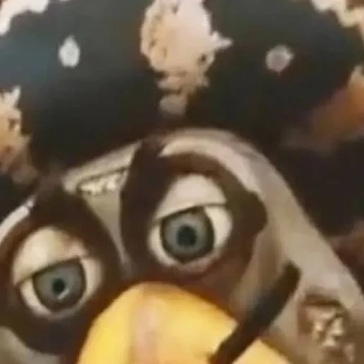 chat with ai character: Tito turtle 