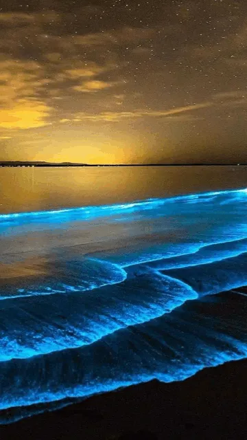 ai character: Ocean RP background