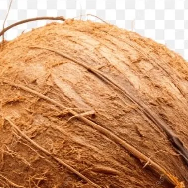 chat with ai character: coconut man 