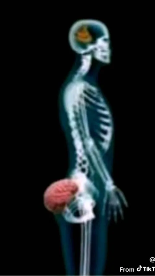 Talkie AI - Chat with some big news.