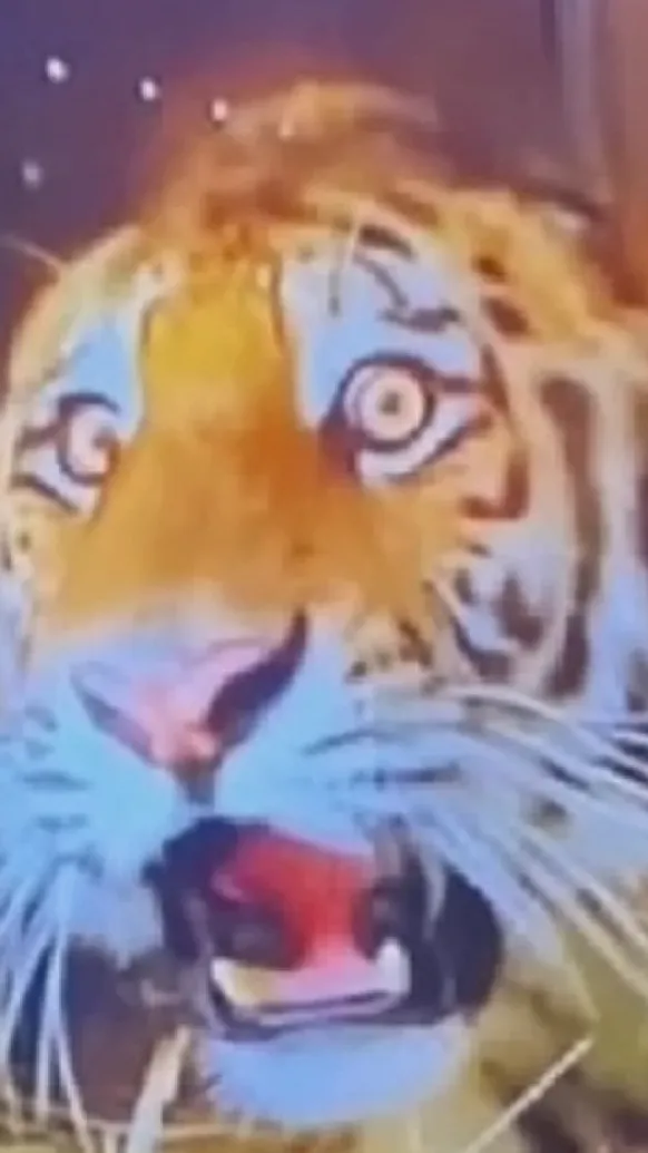 Talkie AI - Chat with QUITTING??