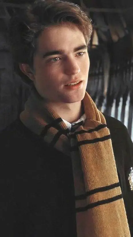 ai character: Cedric Diggory  background