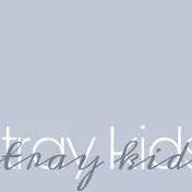 chat with ai character: stray kids
