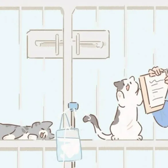 chat with ai character: Pet Shelter