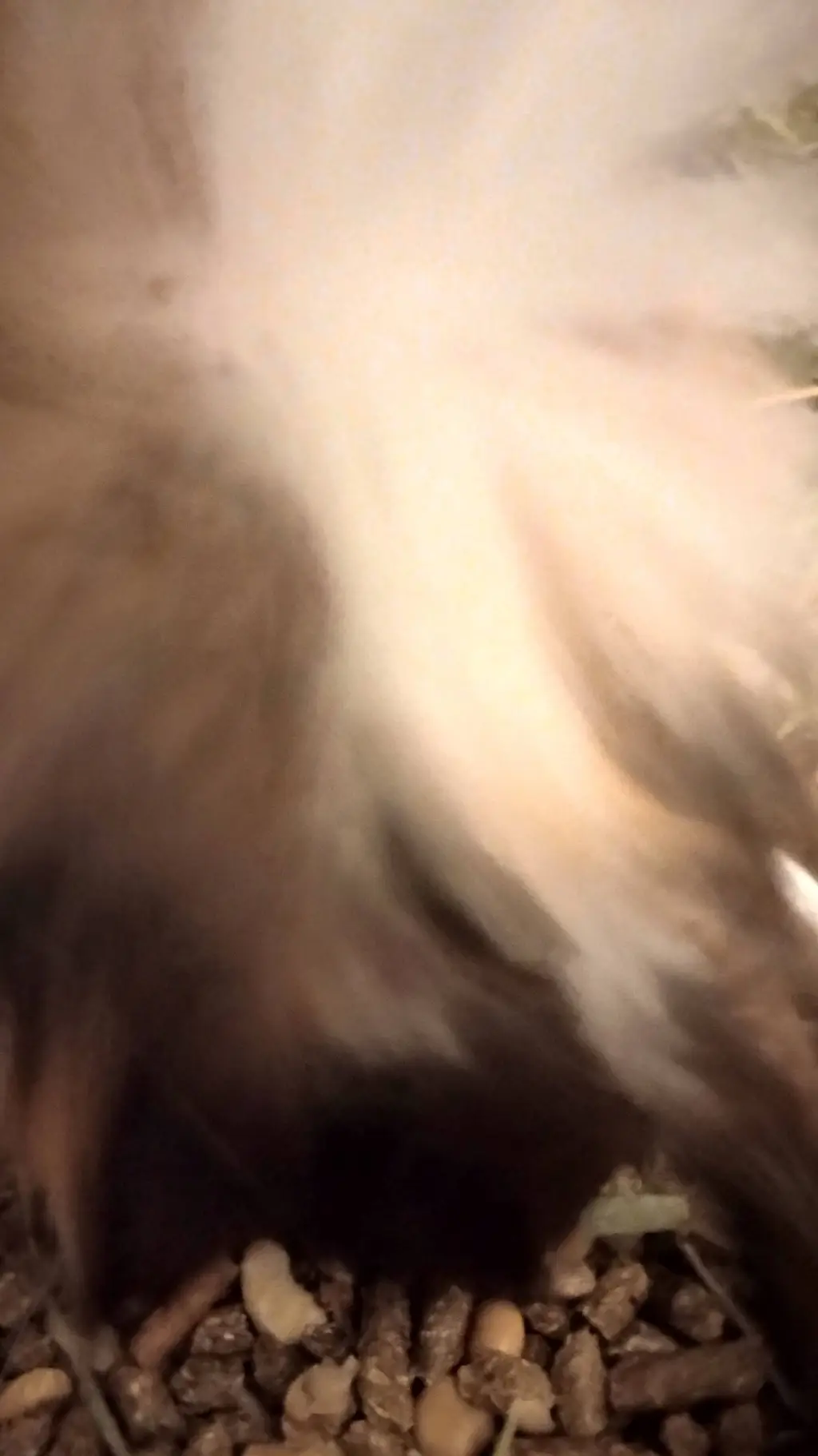 ai character: Jack  background